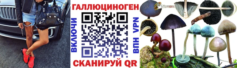 Псилоцибиновые грибы ЛСД Кувшиново